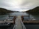 ./images/calvert/dock/20160630/dock20160630_202502.jpg