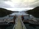 ./images/calvert/dock/20160701/dock20160701_215501.jpg