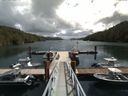 ./images/calvert/dock/20160703/dock20160703_125501.jpg