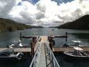 ./images/calvert/dock/20160703/dock20160703_130004.jpg