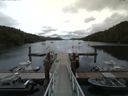 ./images/calvert/dock/20160703/dock20160703_154004.jpg
