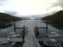 ./images/calvert/dock/20160703/dock20160703_175504.jpg