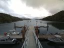./images/calvert/dock/20160704/dock20160704_154504.jpg