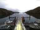 ./images/calvert/dock/20160705/dock20160705_050501.jpg