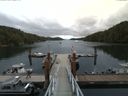 ./images/calvert/dock/20160705/dock20160705_115504.jpg