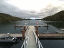 ./images/calvert/dock/20160705/dock20160705_143503.jpg