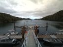 ./images/calvert/dock/20160705/dock20160705_171002.jpg