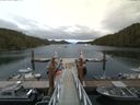 ./images/calvert/dock/20160705/dock20160705_174503.jpg