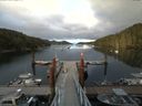 ./images/calvert/dock/20160705/dock20160705_201501.jpg