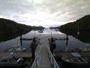 ./images/calvert/dock/20160706/dock20160706_054004.jpg