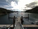 ./images/calvert/dock/20160706/dock20160706_102504.jpg