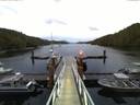 ./images/calvert/dock/20160708/dock20160708_051504.jpg