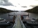 ./images/calvert/dock/20160708/dock20160708_053002.jpg