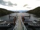 ./images/calvert/dock/20160708/dock20160708_054504.jpg
