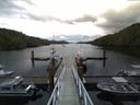 ./images/calvert/dock/20160708/dock20160708_061504.jpg