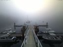 ./images/calvert/dock/20160709/dock20160709_053504.jpg