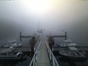 ./images/calvert/dock/20160709/dock20160709_055504.jpg
