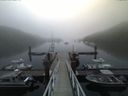 ./images/calvert/dock/20160709/dock20160709_062504.jpg