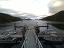 ./images/calvert/dock/20160710/dock20160710_185504.jpg