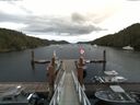 ./images/calvert/dock/20160711/dock20160711_141002.jpg