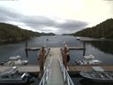 ./images/calvert/dock/20160712/dock20160712_160503.jpg
