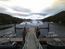 ./images/calvert/dock/20160713/dock20160713_061504.jpg