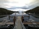 ./images/calvert/dock/20160713/dock20160713_062004.jpg