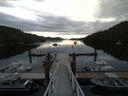 ./images/calvert/dock/20160713/dock20160713_075004.jpg