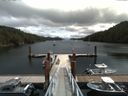 ./images/calvert/dock/20160713/dock20160713_125501.jpg