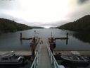 ./images/calvert/dock/20160715/dock20160715_102502.jpg