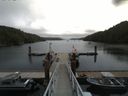 ./images/calvert/dock/20160715/dock20160715_113503.jpg