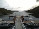 ./images/calvert/dock/20160717/dock20160717_123002.jpg