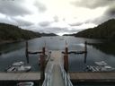 ./images/calvert/dock/20160722/dock20160722_104503.jpg