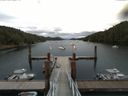 ./images/calvert/dock/20160723/dock20160723_111004.jpg