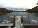 ./images/calvert/dock/20160723/dock20160723_113502.jpg