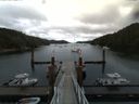 ./images/calvert/dock/20160724/dock20160724_121004.jpg