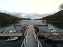 ./images/calvert/dock/20160724/dock20160724_165002.jpg