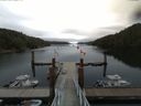 ./images/calvert/dock/20160725/dock20160725_104004.jpg