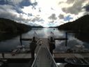 ./images/calvert/dock/20160726/dock20160726_095502.jpg