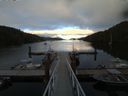 ./images/calvert/dock/20160726/dock20160726_202502.jpg