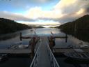 ./images/calvert/dock/20160726/dock20160726_204003.jpg