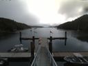 ./images/calvert/dock/20160727/dock20160727_110002.jpg