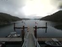 ./images/calvert/dock/20160727/dock20160727_113503.jpg