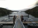 ./images/calvert/dock/20160729/dock20160729_075004.jpg