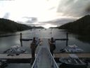 ./images/calvert/dock/20160730/dock20160730_082004.jpg