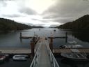 ./images/calvert/dock/20160731/dock20160731_112504.jpg