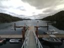 ./images/calvert/dock/20160731/dock20160731_124001.jpg
