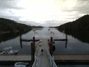 ./images/calvert/dock/20160803/dock20160803_102504.jpg