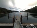 ./images/calvert/dock/20160806/dock20160806_110002.jpg