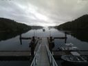 ./images/calvert/dock/20160809/dock20160809_084502.jpg
